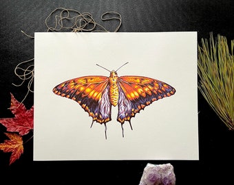 Rebirth 11”x14” Giclee print Insect Bugs Color Nature  Beauty Fairytale Women Empowerment Transformation Mystical Love Art Drawing Gift Draw