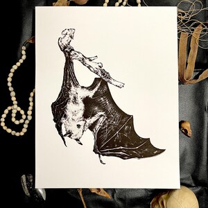 Hangin Bat 11”x14” giclee print Insect Bugs Color Nature Fairytale Women Empowerment Mystical Spirit Animal Wings Angel Witch Goth