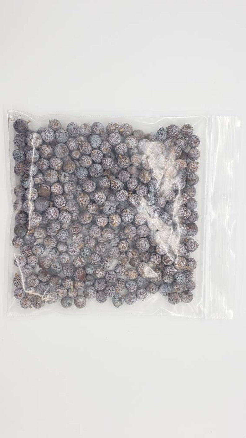 Juniper Berries 3 Oz Wild Harvested/ Whole Dried Juniper Etsy