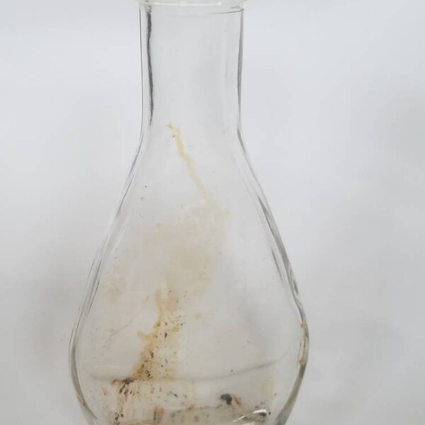 Little Glass Bottles Etsy