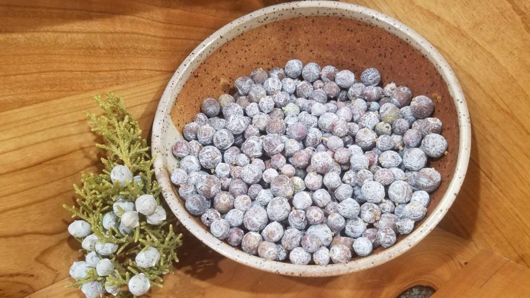 Juniper Berries 3 Oz Wild Harvested/ Whole Dried Juniper Berry/natural