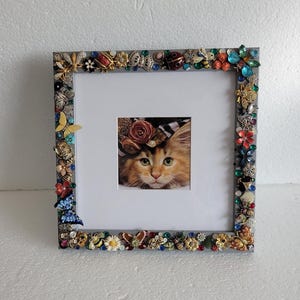 Schmuckrahmen mit Schmetterling & Bug Pins