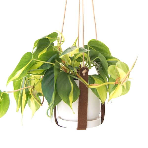 Leather Plant Hanger | Leather Hanger for Planter | Plant Pot Hanger