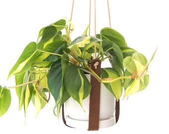 Hand Cut Leather Plant Hanger: Vegetable Tanned Cowhide, 26"