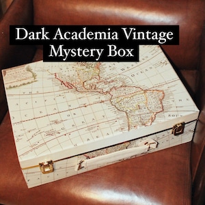 Dark Academia Mystery Box Oddities Curio Cabinet Dark Academia