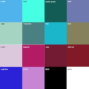 Op de afbeelding: Een kleurenpalet met zestien verschillende kleurstalen. Kleuren zijn onder meer oceaan, munt, jagergroen, mist, salie, turkoois, blauwgroen, olijf, violet, magenta, wijn, chilirood, koningsblauw, orchidee, zwart en wit.