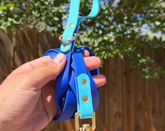 Two-Tone BioThane Dog Leash | Waterproof Dog Leash | Stink Proof Leash | Hiking Leash | Custom Dog Leash | Durable Pet Leash | New Dog Gift