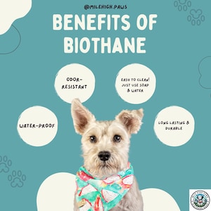 Op de afbeelding: Een ge&iuml;llustreerde afbeelding die de voordelen van Biothane promoot. Een lichtgekleurde hond draagt een kleurrijke bandana. Tekst omvat "Water-Proof", "Odor-Resistant", "Easy to Clean" en "Long Lasting & Durable". De achtergrond is teal.