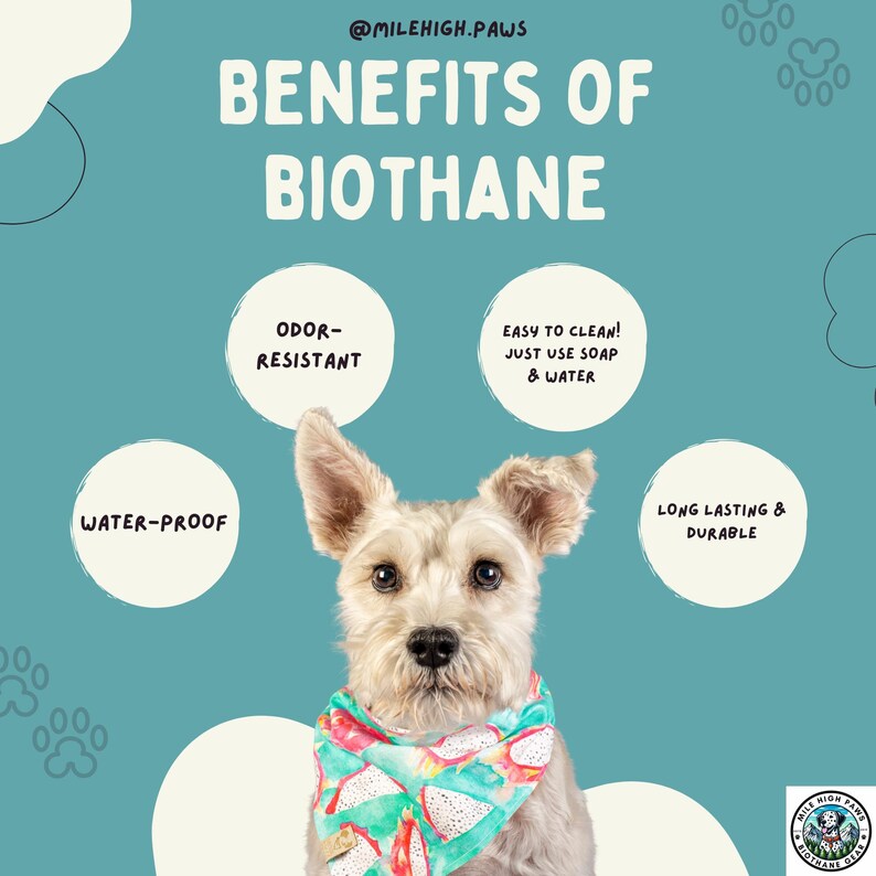 Op de afbeelding: Een ge&iuml;llustreerde afbeelding die de voordelen van Biothane promoot. Een lichtgekleurde hond draagt een kleurrijke bandana. Tekst omvat "Water-Proof", "Odor-Resistant", "Easy to Clean" en "Long Lasting & Durable". De achtergrond is teal.