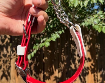1” BioThane Adjustable Martingale Dog Collar | Waterproof Dog Collar | Custom Fit Collar | Durable Pet Collar | Rainbow Buckle Option