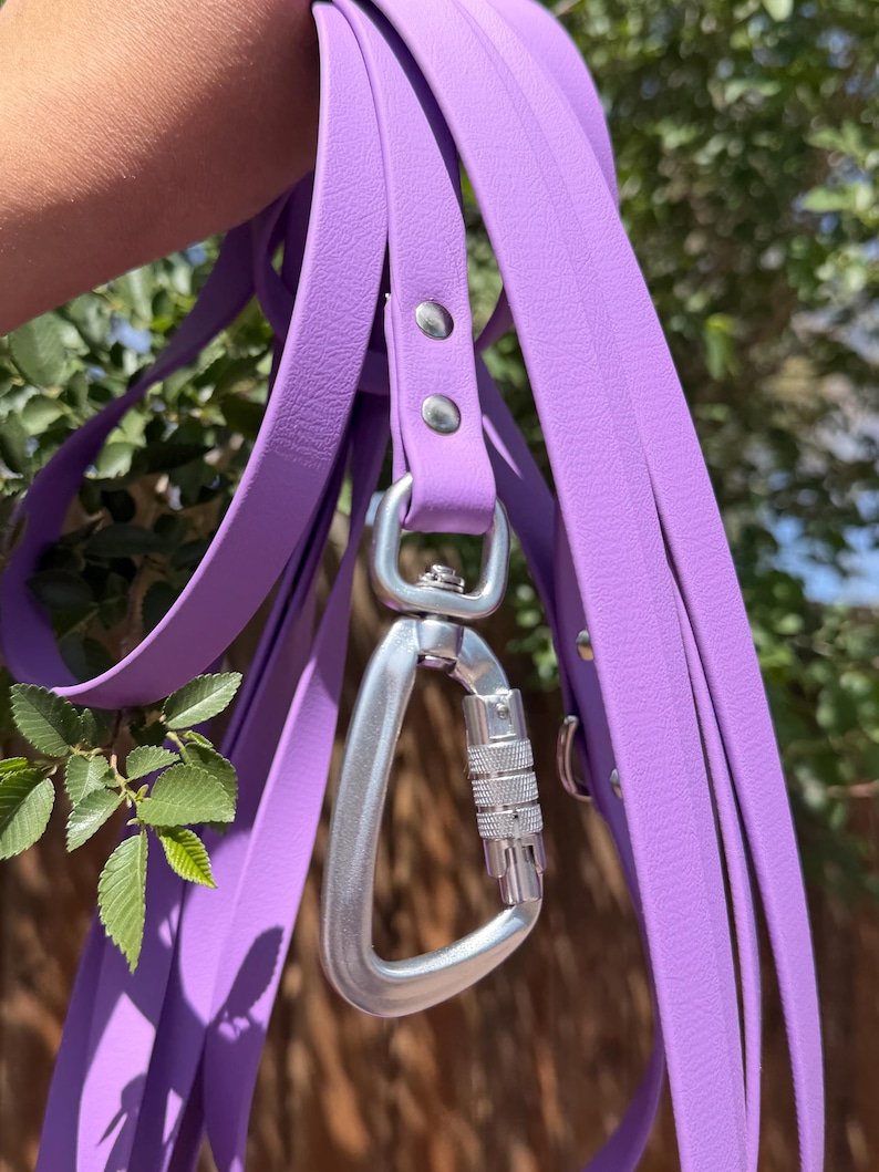 Op de afbeelding: Een paarse hondenriem met een zilveren karabijnhaak. De riem is gemaakt van een glad, duurzaam materiaal en heeft een stevige metalen clip voor een veilige bevestiging aan de halsband of het tuigje van een hond. De riem wordt getoond tegen een achtergrond van groen gebladerte.