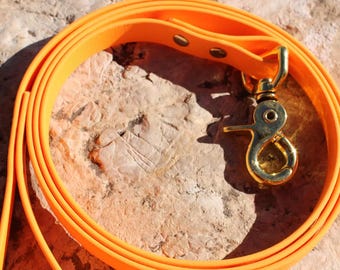 BioThane Dog Leash | Waterproof Dog Lead | Stink Proof Leash | Hiking Leash | Custom Dog Leash | Durable Pet Leash | New Dog Gift