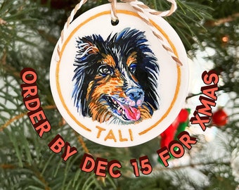 Hand Painted Pet Ornament