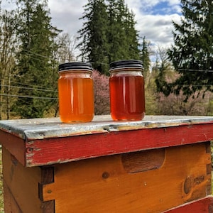 May include: Two glass jars of honey, one light amber and one dark amber, sit on top of a wooden beehive. The beehive is painted red and has a metal lid.