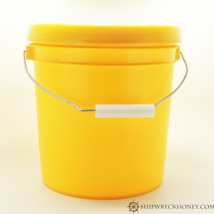 Eine Gallone Eimer, 12lbs Rohhonig, kleine Charge Honig, Handwerker Honig, Western Washington Honig, 100 % reiner Honig, süß,