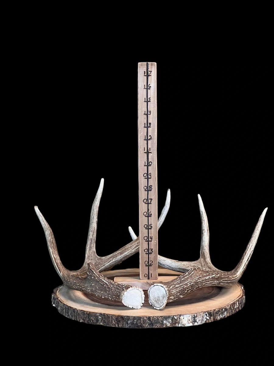 Rattling Antlers Largesized Whtietail Deer Antler Sheds Etsy