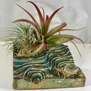 May include: A green and blue ceramic planter with a wavy design, featuring two air plants with green leaves and red stems. A clear crystal is placed on the top of the planter.