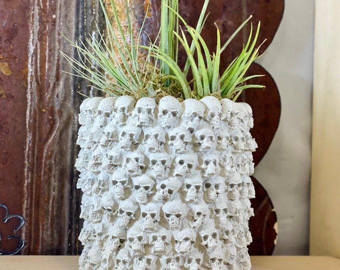 Catacomb Skull Cement Planter Gothic Pot for Plant Lovers Succulent and Air Planter Cement Jar Pen Holder Halloween Decor