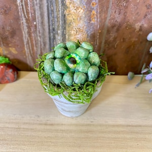May include: A small, white ceramic pot with a green, moss-like plant and a central, detailed eye. The eye has a green iris and a dark pupil. The plant is surrounded by green moss.