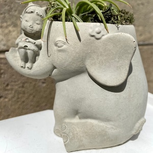 May include: A gray concrete elephant planter with a small gray concrete fairy figurine sitting on the elephant's trunk. The planter has a green air plant growing inside.