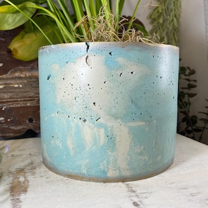 May include: A cylindrical concrete planter with a light blue and white marbled design. The planter has a rough texture and is filled with green plants and dried moss. The planter is approximately 7 inches tall and 7 inches in diameter.