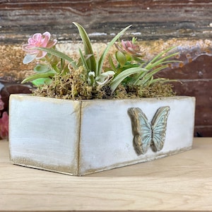 May include: A white rectangular planter with a distressed finish and a gold butterfly design. The planter is filled with green moss and artificial succulents.