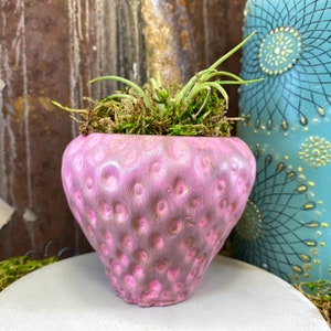 May include: A pink ceramic strawberry-shaped planter with a textured surface and a brown glaze. The planter is filled with green moss and small green plants. The planter is sitting on a white surface.