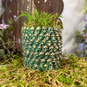 May include: A green and gold skull planter filled with green plants. The planter is covered in small skulls and sits on a bed of moss. The planter has a weathered, aged appearance.