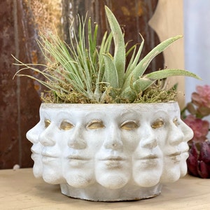 Mini Cement Planter: Polyface Head Pot, Gold & White Decor