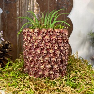 May include: A cylindrical planter covered in small, detailed skulls with a metallic gold finish. The planter is filled with green plants and sits on a bed of green moss. The skulls are a deep red color.