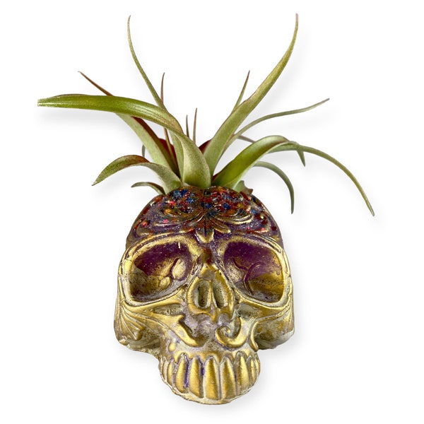 Purple Half Resin & Half Cement Mini Glow in the Dark/UV Reactive Skull Planter Best for Air Plants or Small Succulents