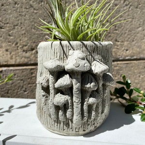 May include: A gray concrete planter shaped like a mushroom with a green air plant growing inside.