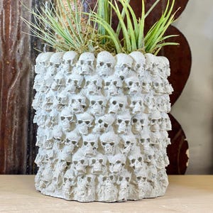 May include: A gray, skull-covered planter filled with green plants. The planter is made of a textured material and is densely covered with small, detailed skull shapes. The plants have long, thin leaves and add a touch of life to the macabre design.