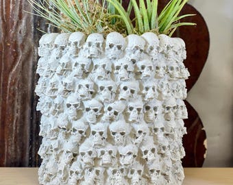 Skull Catacomb Cement Planter: Gothic Home Decor, Pen Organizer