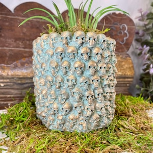 May include: A cylindrical planter with a teal and gold skull design. The planter is filled with green plants and sits on a bed of moss. The skulls are intricately detailed, creating a unique and gothic aesthetic.