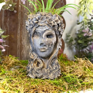 May include: A detailed, gray and gold-toned planter shaped like a woman's face, with a floral crown and greenery sprouting from the top. The face has a mask-like appearance, with one eye visible. The planter is set on a bed of green moss.