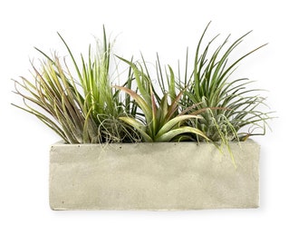 Modern Rectangle Cement Planter Box with Drainage Holes - Perfect for Succulents and Minimalist Plants - Free Shipping
