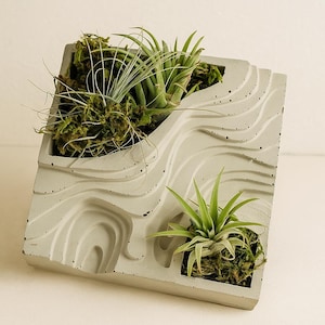 Modern Cement Air Plant Planter: Square Wave Design, Dual Holes