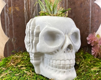 Hear No Evil Skull Cement Planter: Gothic Halloween Miniature Sculpture