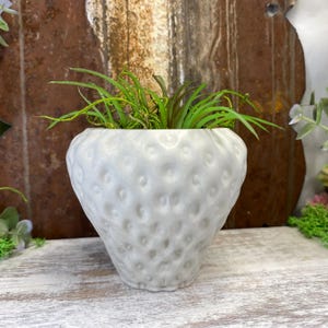 May include: A white ceramic planter shaped like a strawberry with a green air plant inside.