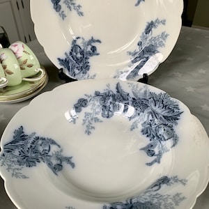 Johnson Brothers ‘Paris’ Flow blauwe soepborden