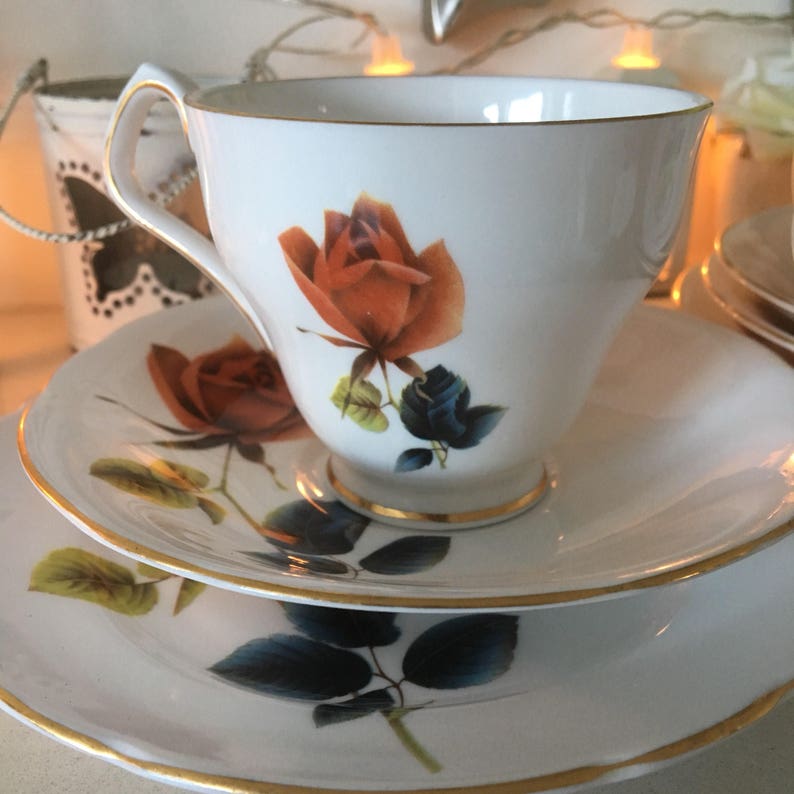 Vintage Windsor Bone China Teacup, Saucer, Side Plate with Roses, 2 Available image 5