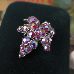 May include: A silver-toned brooch shaped like a grapevine with red and iridescent rhinestones.