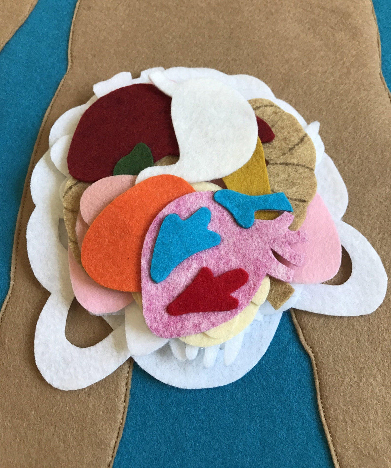 Educational Felt Human Anatomy/ Parts of the Body/ Etsy