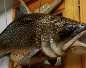 Lake Trout or "Mackinaw", hand carved & painted , 43", signed and numbered, organic sculpture