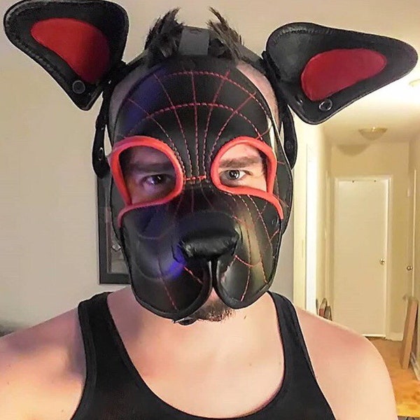 Superhero puppy masks/hoods