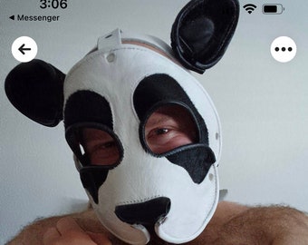 Bears, panda, polar and more