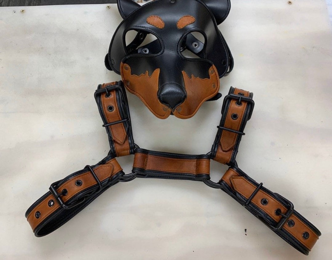 Custom 2 Tone Build Your Own Buckle Bulldog Harness Etsy