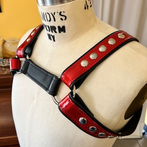 Sparkle series Bulldog harness