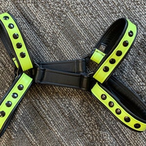 Custom 2 tone build your own snap bulldog harness